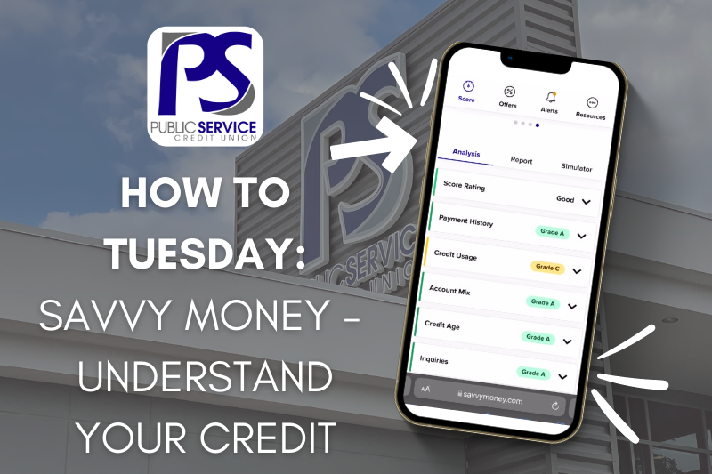 How to Tuesday: Savvy Money - Understand Your Credit