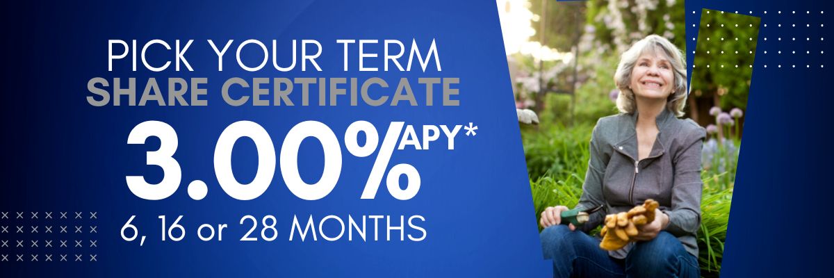 Pick your term share certificate special 3.00%APY* for 6,16 or 28months