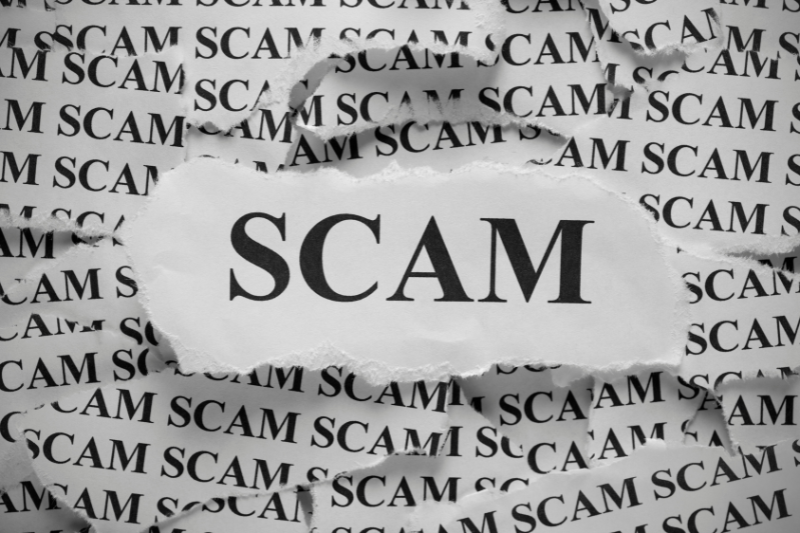 scam blog image